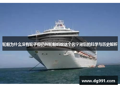 轮船为什么没有轮子但仍叫轮船蚂蚁这个名字背后的科学与历史解析